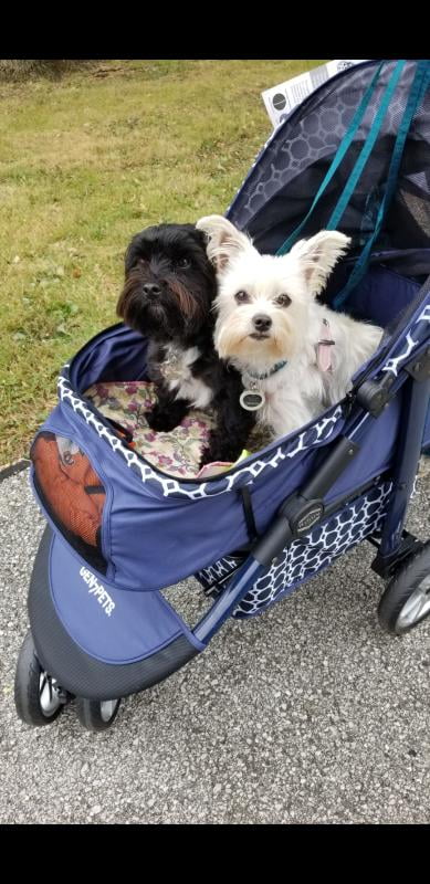 Gen7Pets Monaco Pet Stroller, Dress Blues - Walmart.com