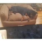 Image 2 of customer photos