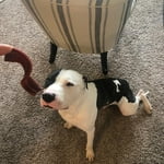 Image 6 of customer photos