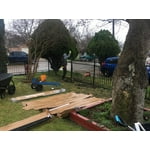 Image 6 of customer photos