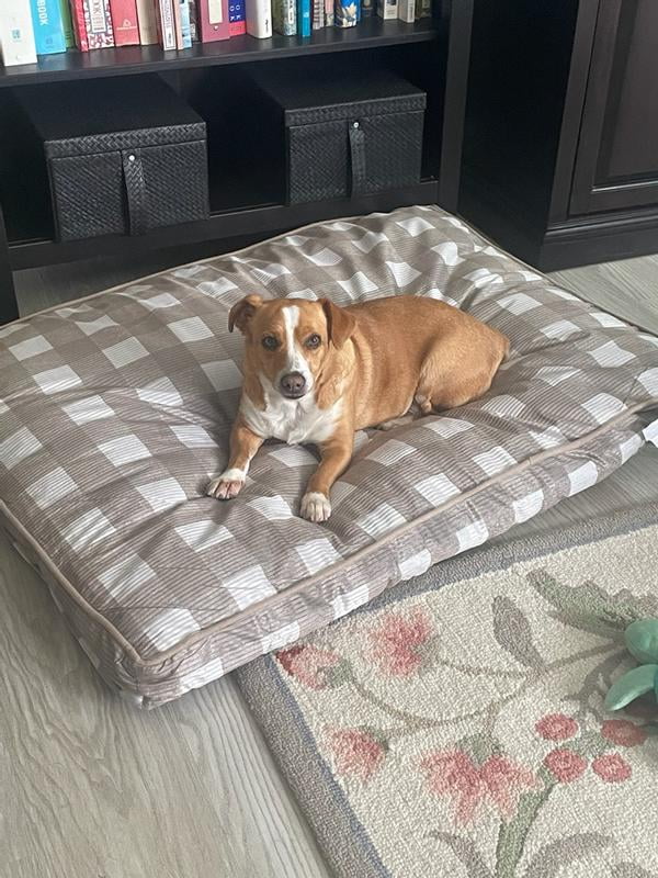 Vibrant Life Large Deluxe Gusset Pillow Dog Bed, Brown Chic Cabin