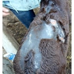 Image 7 of customer photos