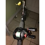 Image 7 of customer photos