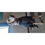 Image 3 of customer photos