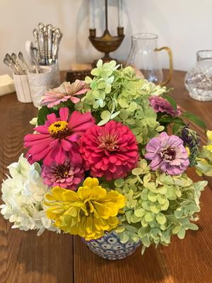 Burpee Fruit Smoothie Mixed Colors Zinnia Flower Seed for Planting