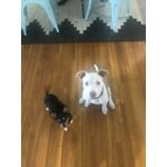 Image 1 of customer photos