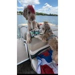 Image 5 of customer photos