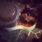 Image 5 of customer photos