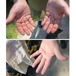 Image 7 of customer photos