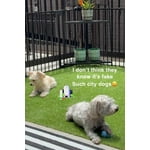 Image 2 of customer photos