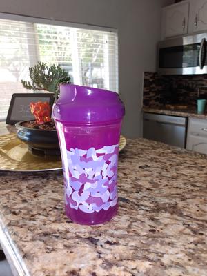 nuk camo sippy cup