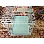 Image 4 of customer photos