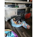 Image 7 of customer photos