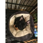 Image 6 of customer photos