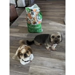 Image 2 of customer photos