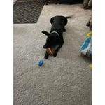 Image 2 of customer photos