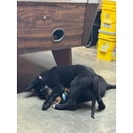 Image 7 of customer photos