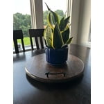 Image 5 of customer photos