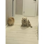 Image 7 of customer photos