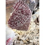 Image 2 of customer photos