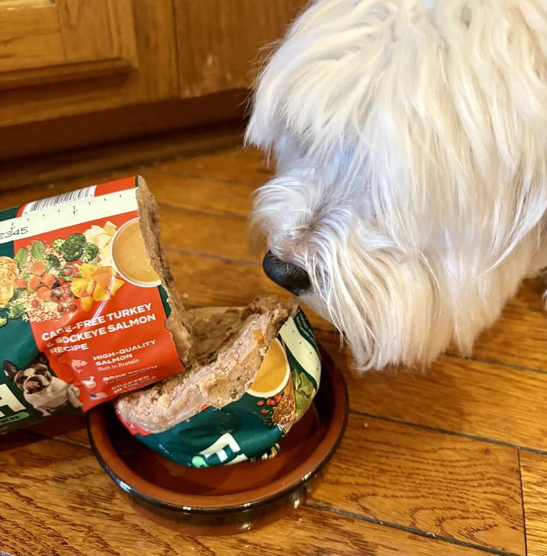 Jinx Fresh Cage-Free Turkey & Sockeye Salmon Dog Food Meal or