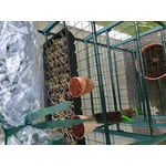 Image 3 of customer photos