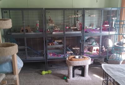 MidWest Critter Nation 36