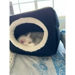 Image 4 of customer photos