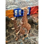 Image 3 of customer photos