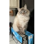 Image 4 of customer photos