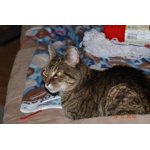 Image 6 of customer photos