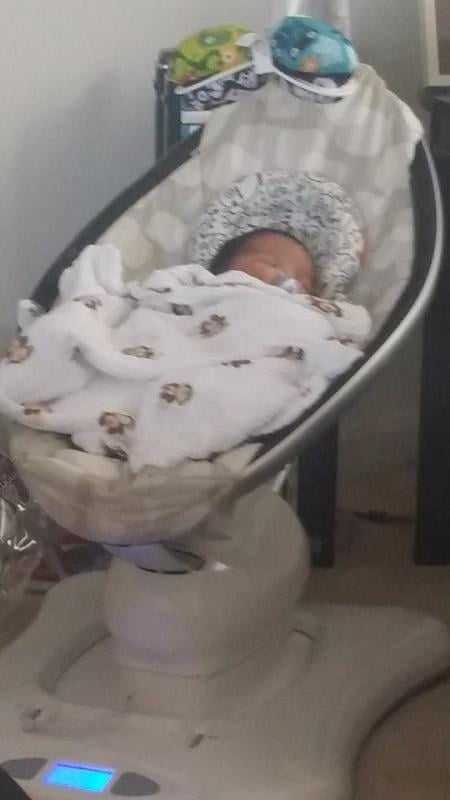 mamaroo monster insert