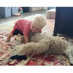 Image 2 of customer photos