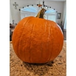 Carving Pumpkin, Each