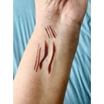 Image 5 of customer photos