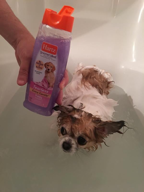 hartz extra gentle puppy shampoo