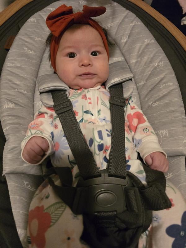 bassinet uppababy cruz UPPAbaby