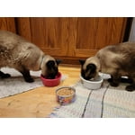 Image 5 of customer photos