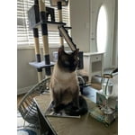 Image 7 of customer photos