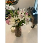 Image 6 of customer photos