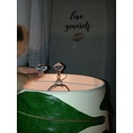 Image 5 of customer photos