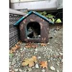 Image 1 of customer photos