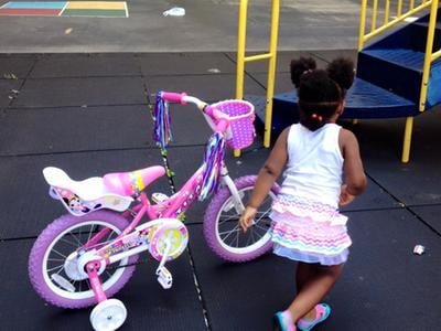 titan flower princess bike