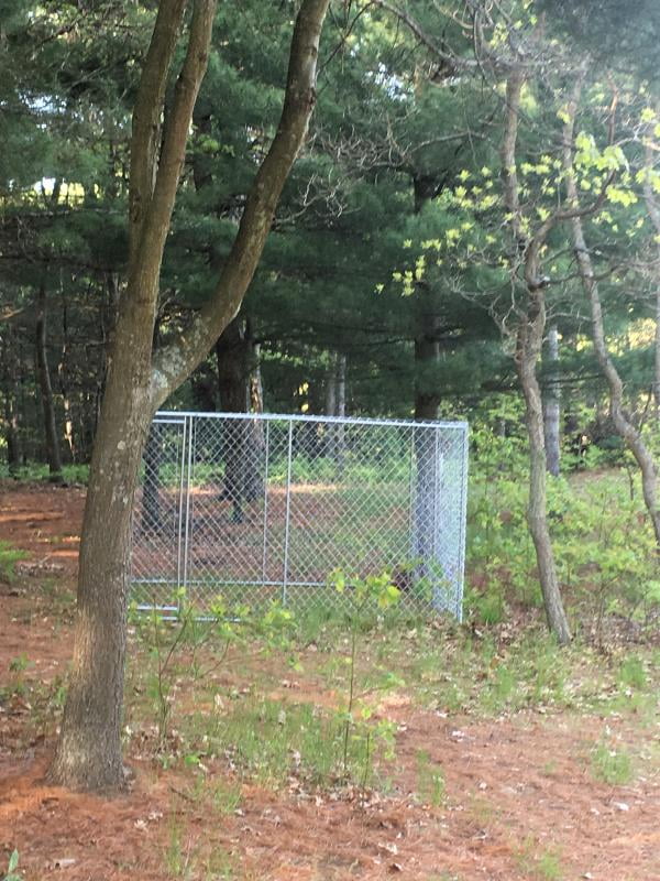 chain link dog kennel walmart