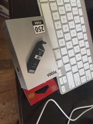 canon 250 ink walmart