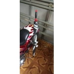 Image 7 of customer photos