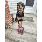 Image 3 of customer photos