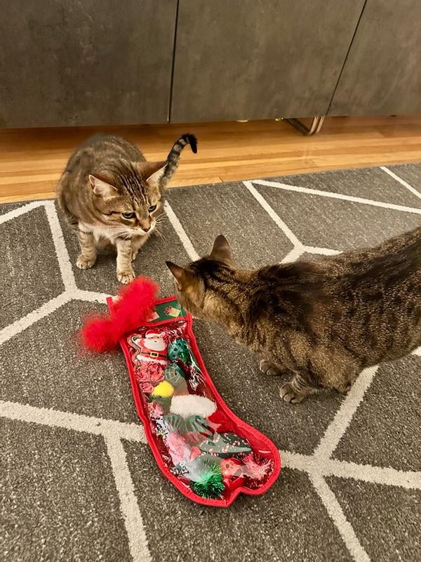 Vibrant Life Holiday 18-Piece Cat Toy Stocking Gift Set, Red - Walmart  Business Supplies