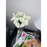Image 3 of customer photos