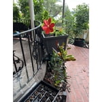 Image 9 of customer photos